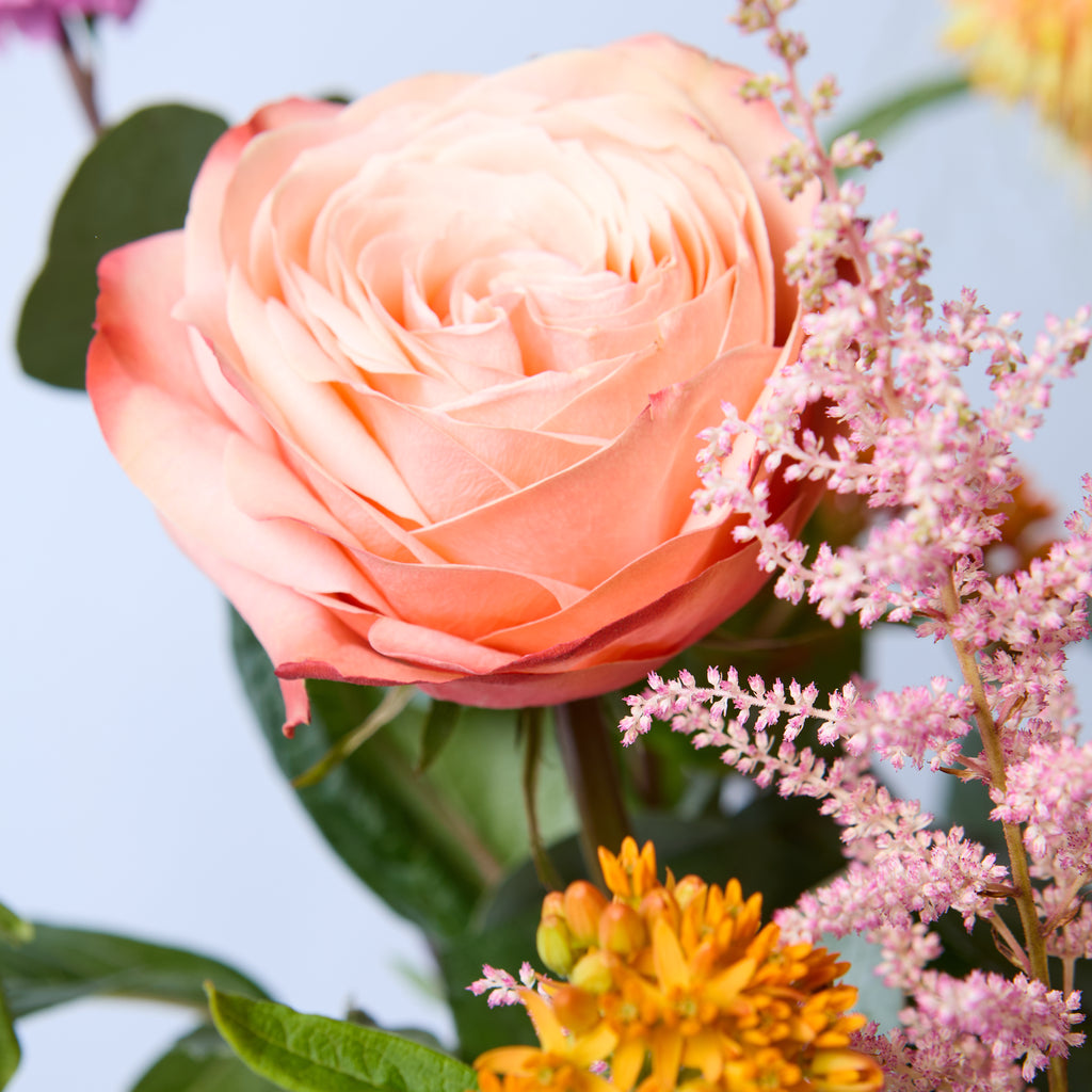 B of the Bang (Kniphofia / Roses / Asclepias / Astilbe / Dahlia / Mollucella / Eucalyptus)