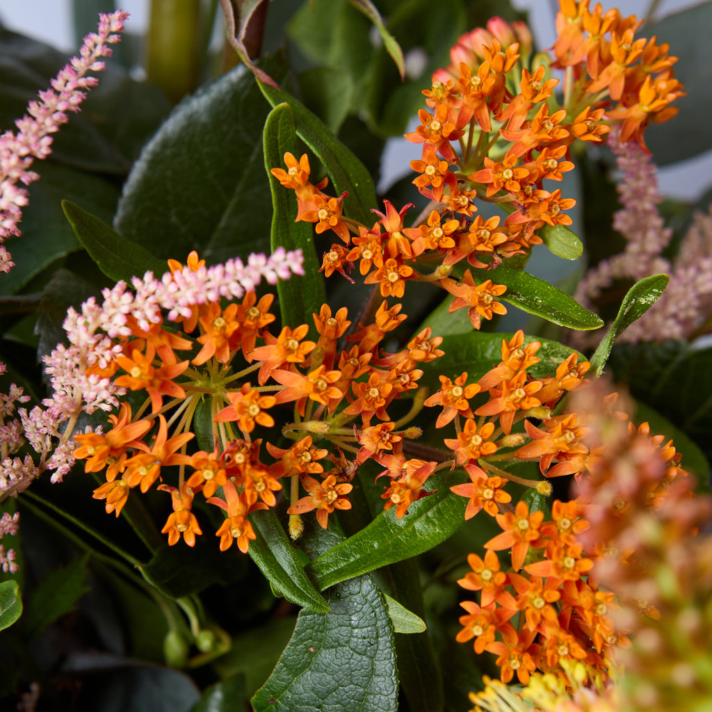 B of the Bang (Kniphofia / Roses / Asclepias / Astilbe / Dahlia / Mollucella / Eucalyptus)