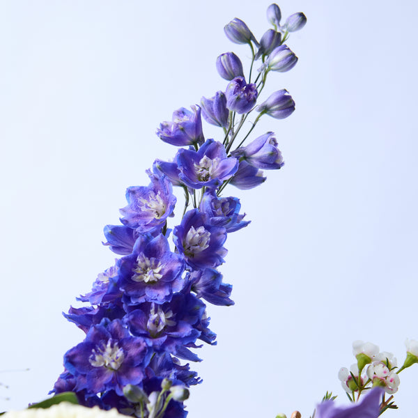Real Wild Child (Blue delphinium / Roses / Stocks / Dill / Clematis / Eryngium / Eucalyptus)