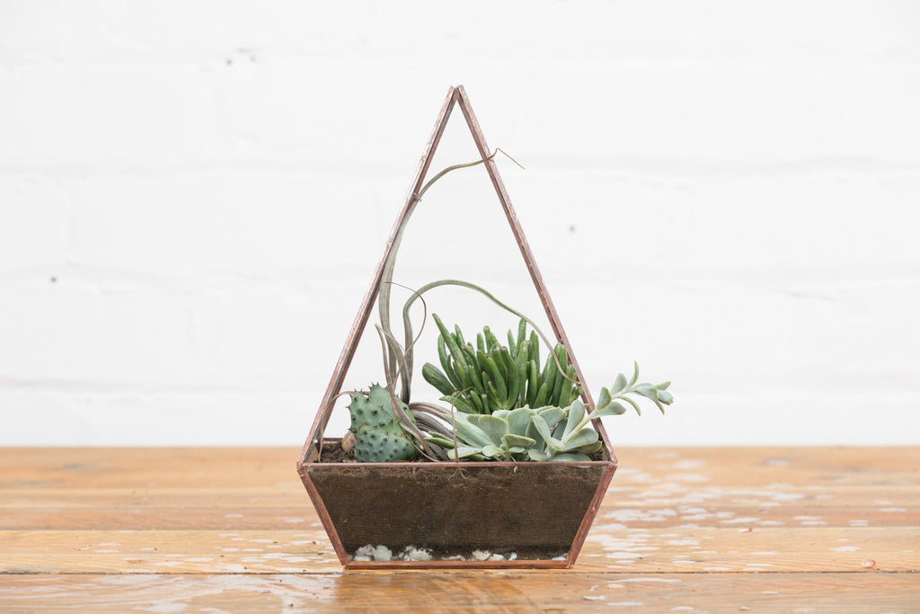 Terrarium